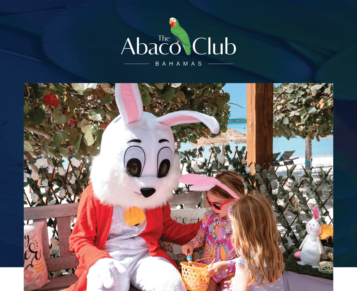 Abaco Email Headere02