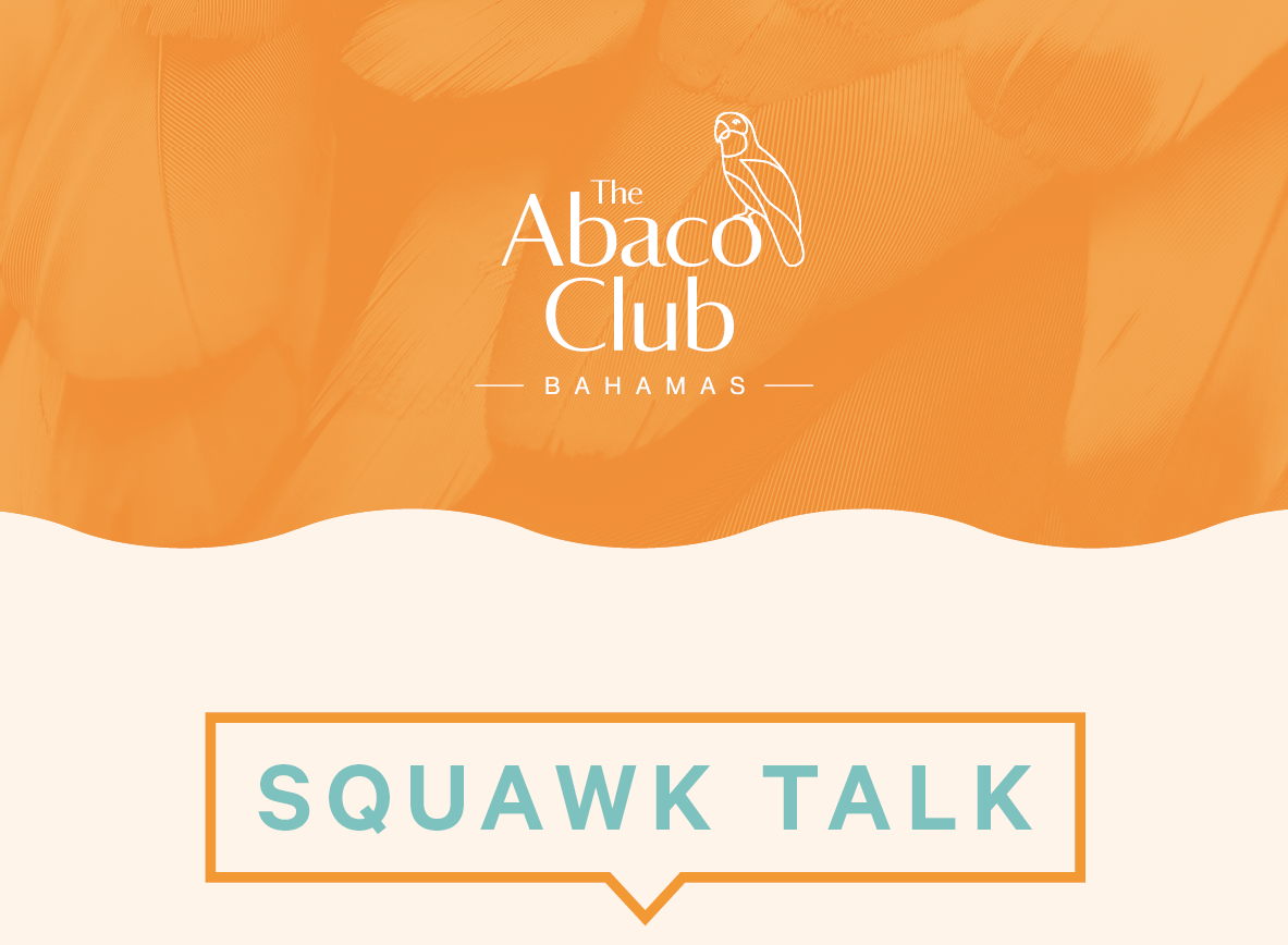 TAC Eblast_Squalk Talk-NEW